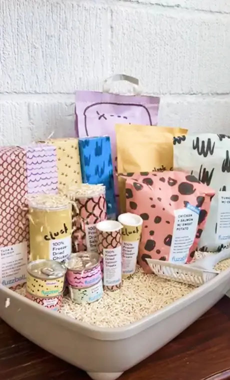 Fuzzball social media video