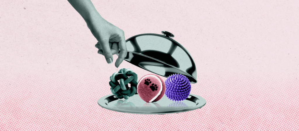 A cloche with three different dog balls inside and a hand selecting which one.