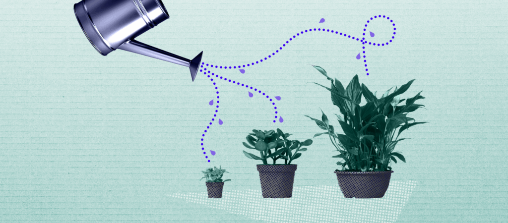 Learn the importance of a strong ecommerce growth strategy and seven tactics to start implementing today to boost your growth.