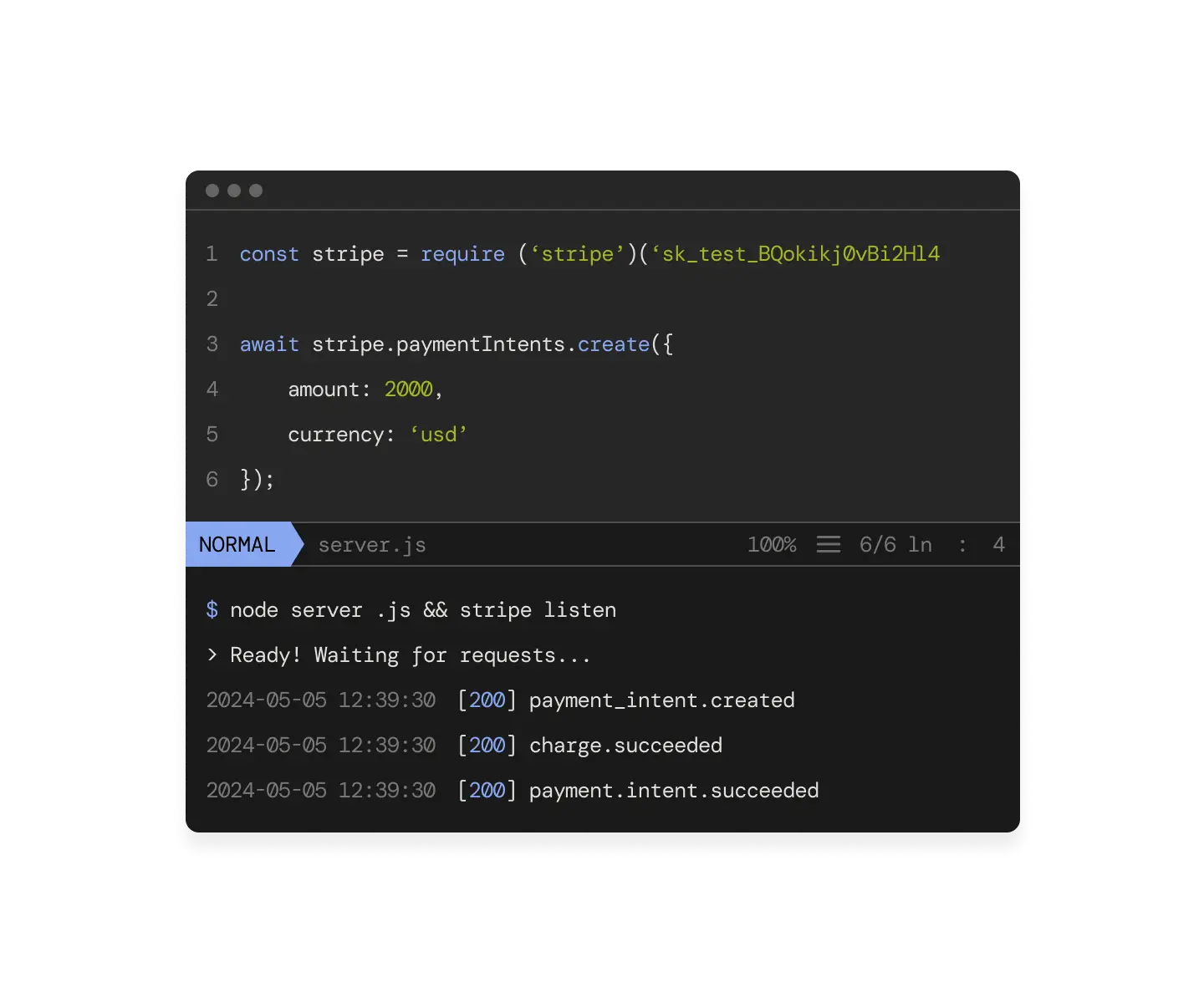 Stripe API code snippet with successful payment terminal output