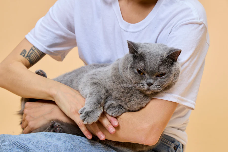 Fuzzball increases subscriber lifetime value by 90% with Recharge’s AI-powered retention suite