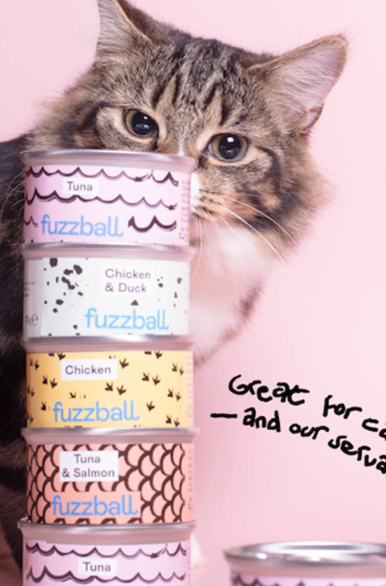 A cat peering from behind stacked cans of cat food displayed on a pink background.