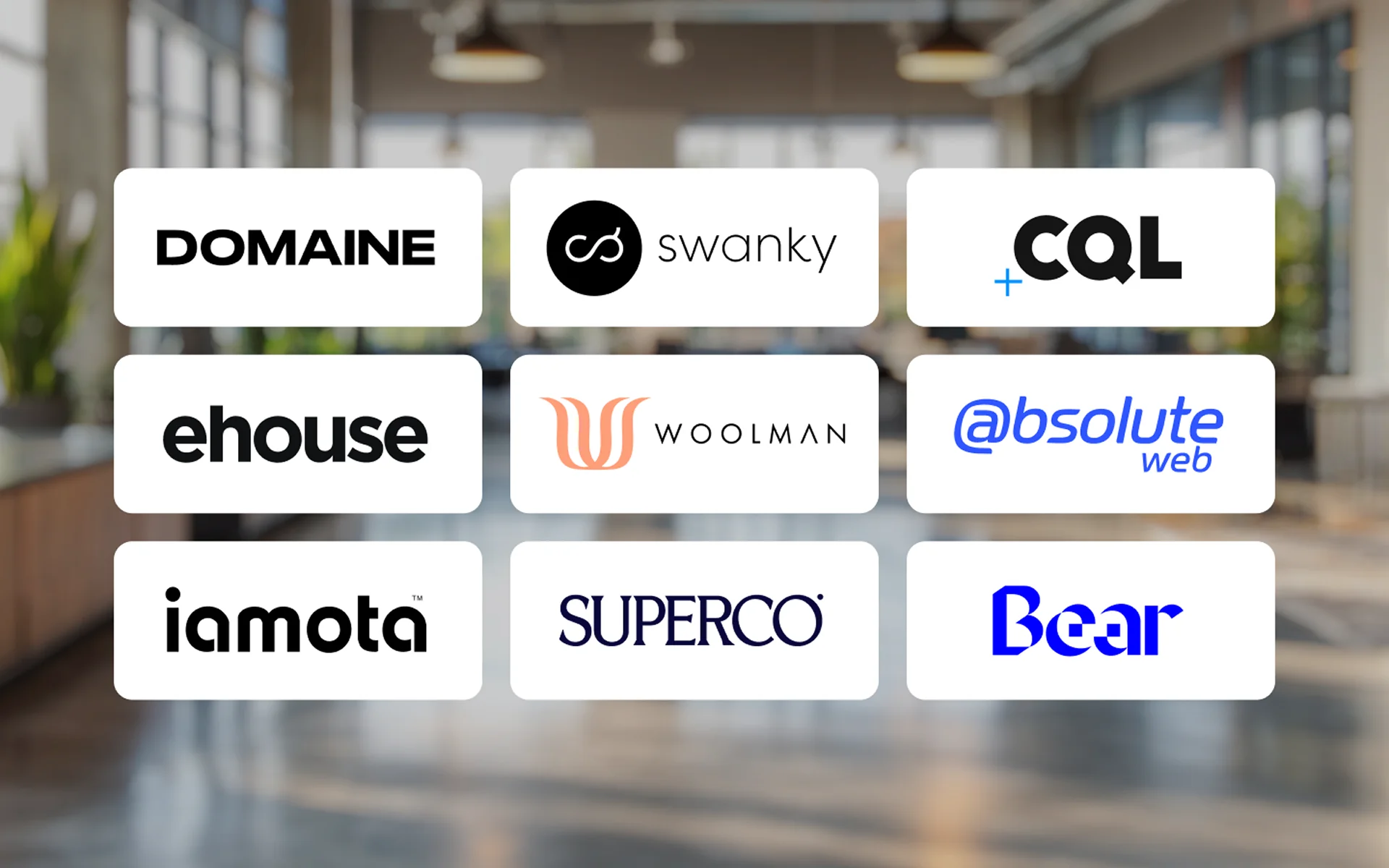 Various brand logos including DOMAINE, swanky, CQL, ehouse, Woolman, @bsolute web, iamota, SUPERCO, Bear displayed in a grid format.