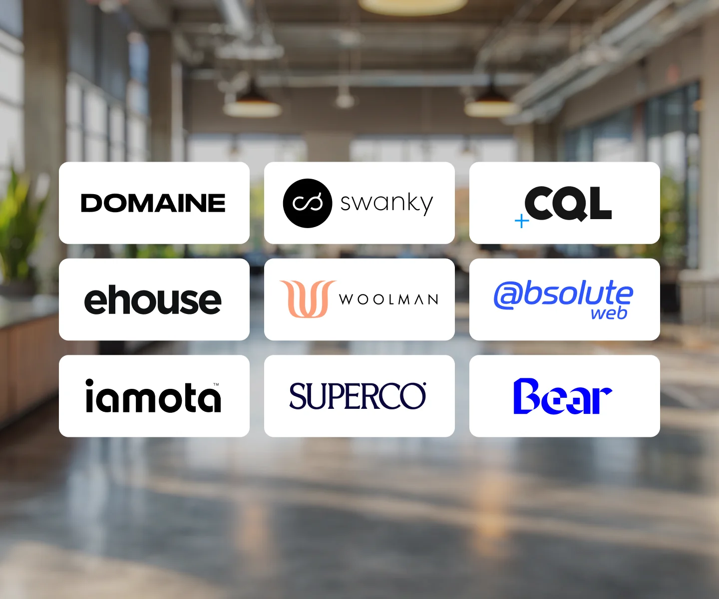 A grid of various branding logos including DOMAINE, swanky, CQL, ehouse, Woolman, @bsolute web, iamota, SUPERCO, Bear.
