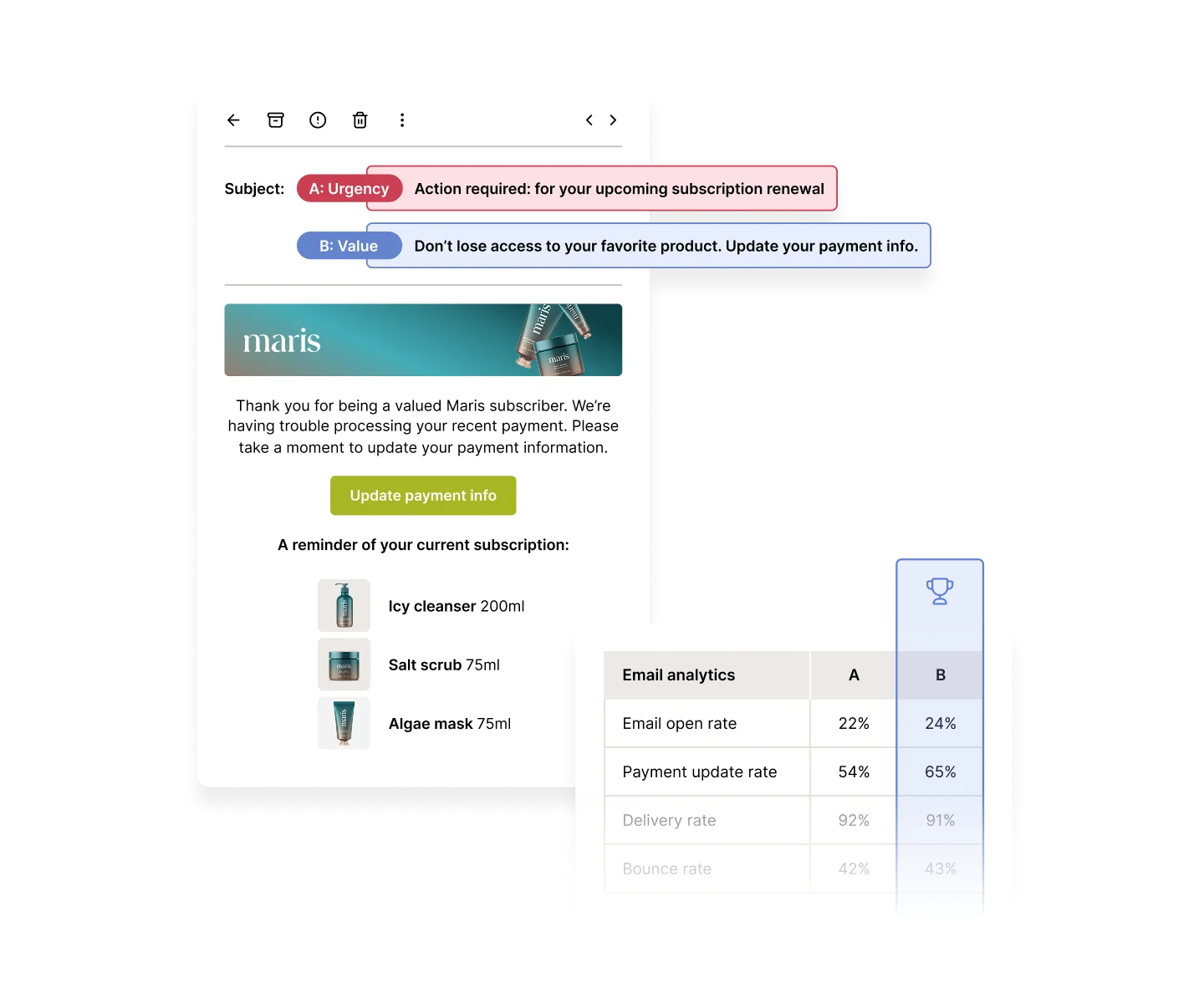 Email notification for subscription renewal.