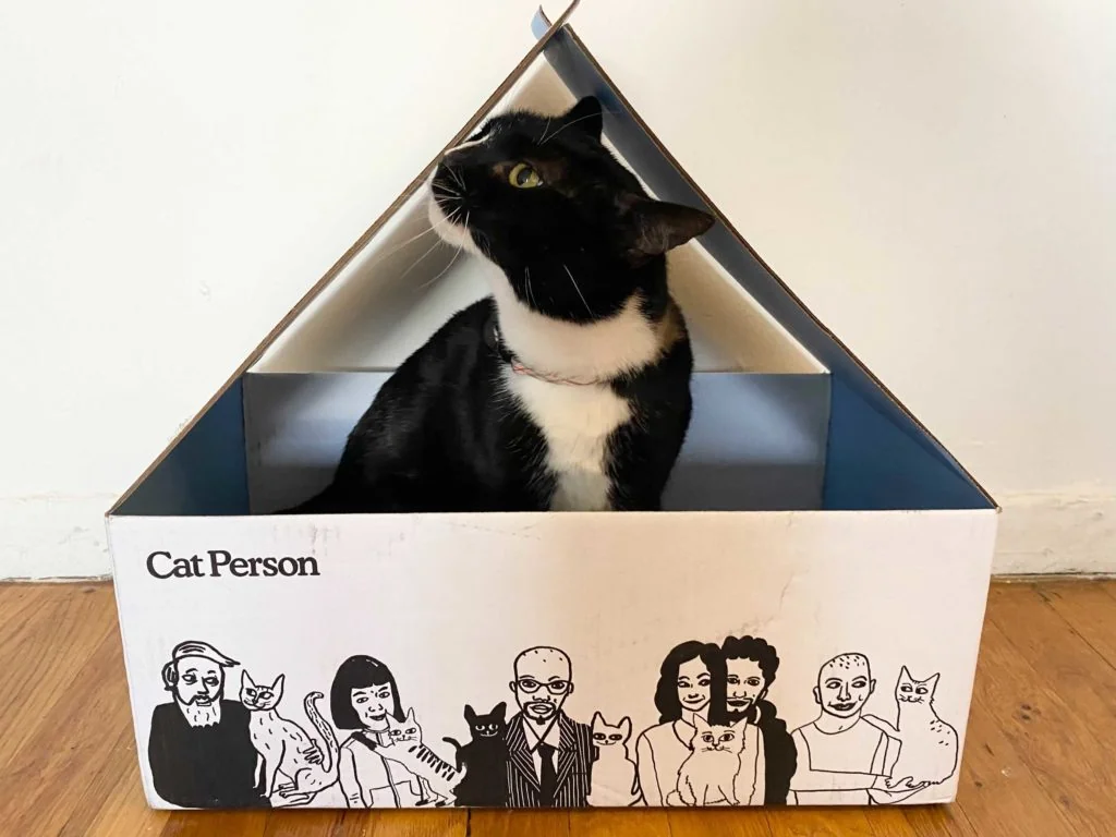 A cat sitting inside a cardboard box labeled 'Cat Person'.